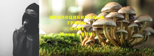 молекула духа Алексин