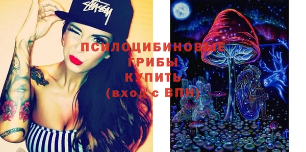молекула духа Алексин