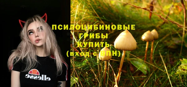 наркотики Алексеевка