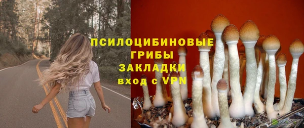 молекула духа Алексин
