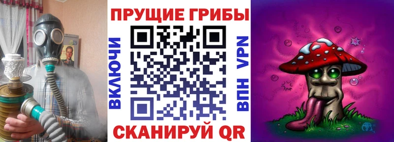 гидра онион  Евпатория  Псилоцибиновые грибы Psilocybe 